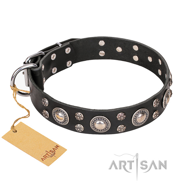 Everyday walking dog collar of fine quality full grain genuine leather with decorations