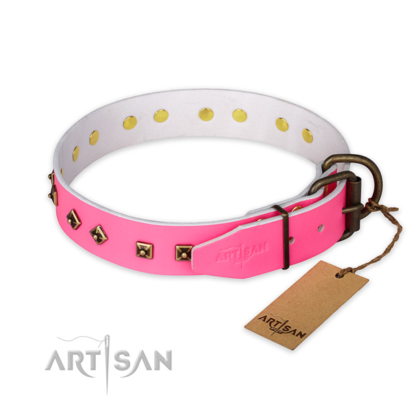 Reliable hardware on genuine leather collar for everyday walking your canine