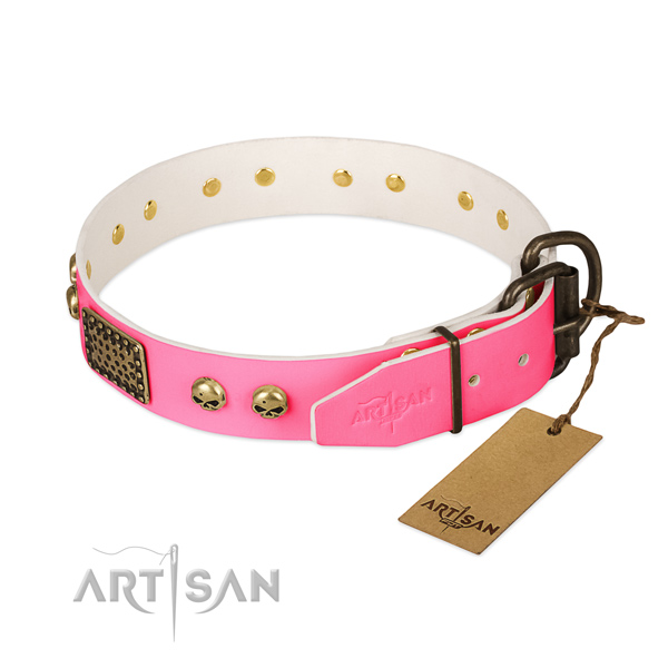 Reliable decorations on handy use dog collar