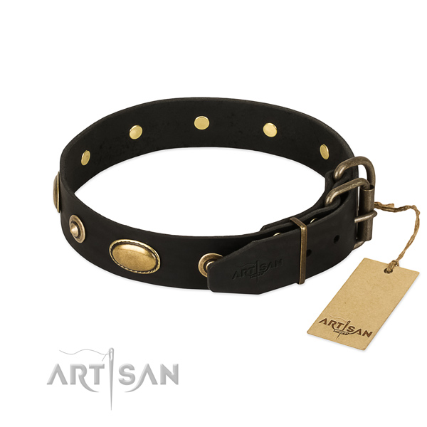 Reliable embellishments on full grain natural leather dog collar for your dog