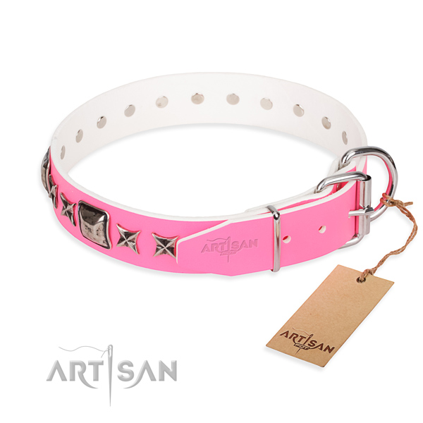 Strong studded dog collar of full grain natural leather