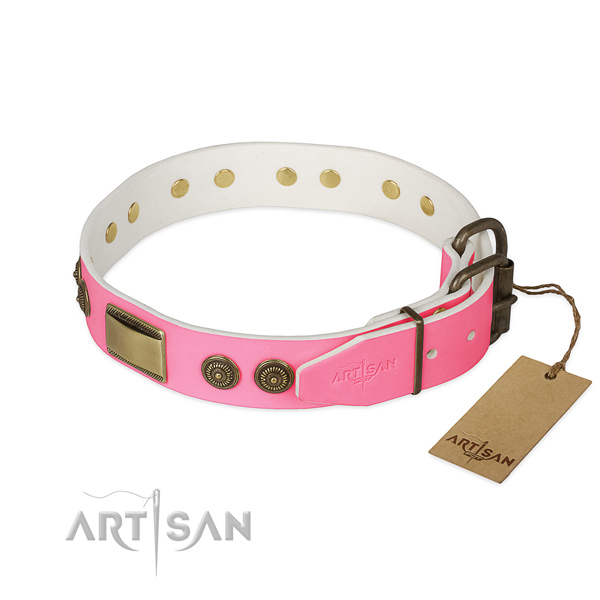 Strong hardware on daily walking dog collar