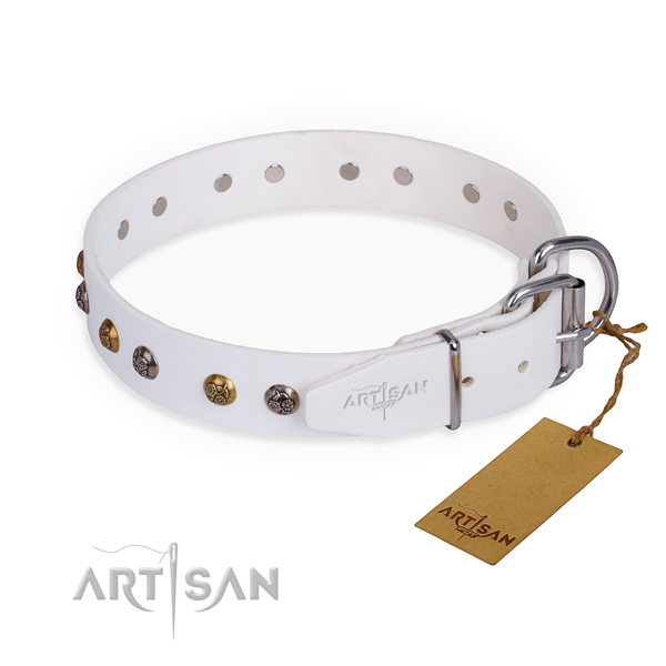Full grain leather dog collar with stylish corrosion proof studs