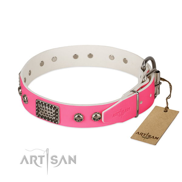 Corrosion proof decorations on everyday use dog collar