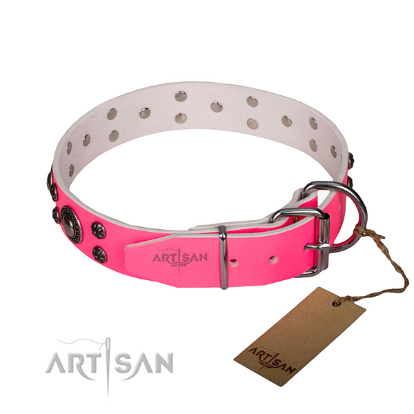 Basic training adorned dog collar of high quality leather