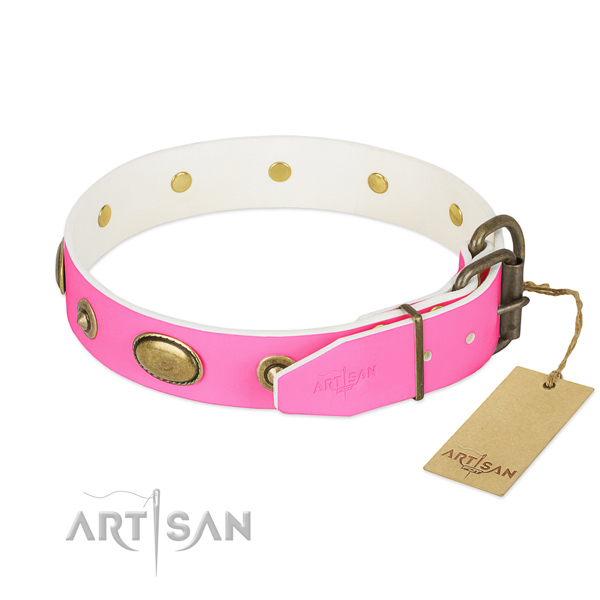 Rust-proof studs on natural leather dog collar for your doggie