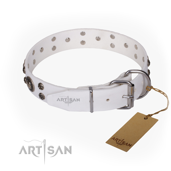 Walking embellished dog collar of strong natural leather