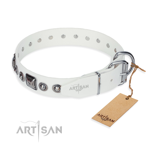High quality genuine leather dog collar crafted for basic training
