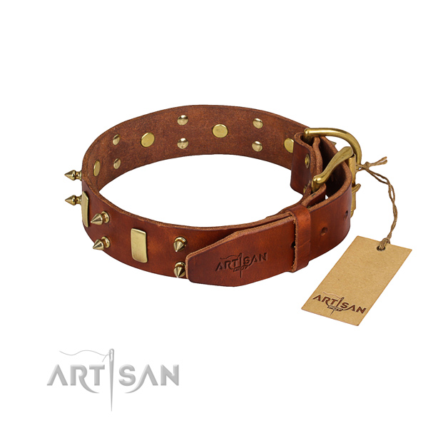 Walking decorated dog collar of reliable natural leather