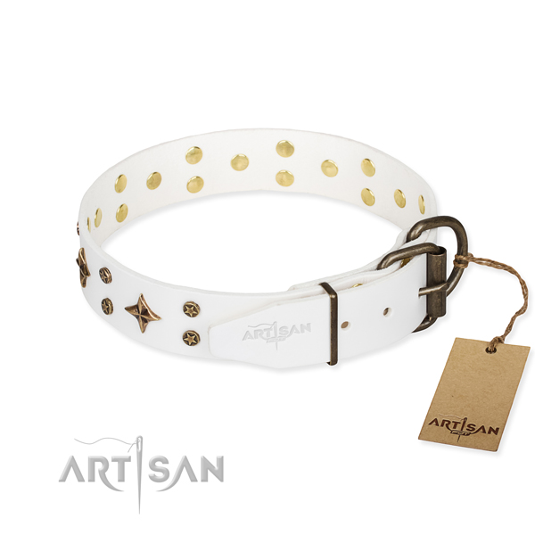 Daily use embellished dog collar of finest quality natural leather