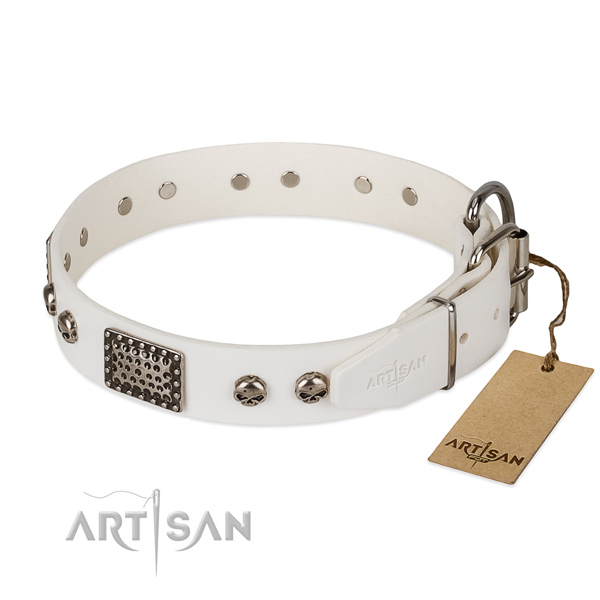 Corrosion proof hardware on comfy wearing dog collar