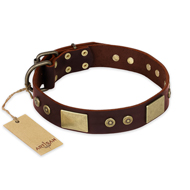 "Shining Armour" FDT Artisan Brown Leather Amstaff Collar with Decorations