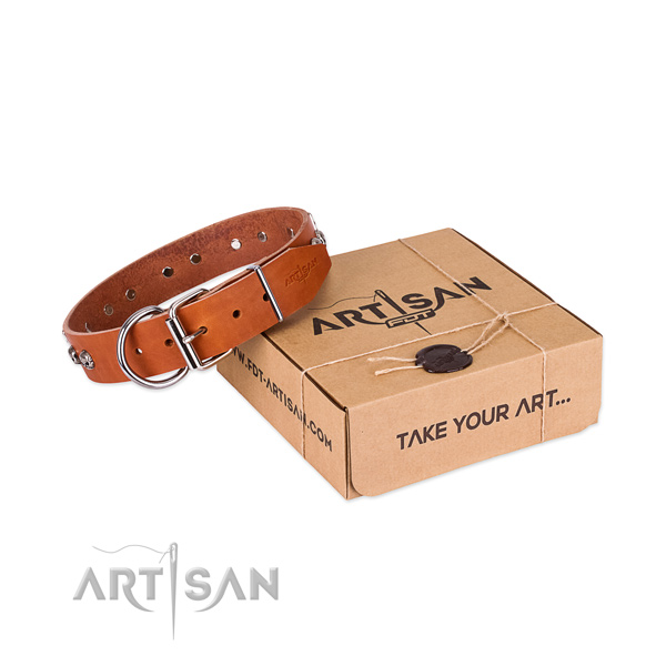 Corrosion resistant D-ring on dog collar for everyday walking