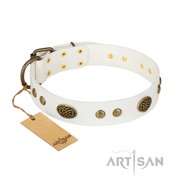Durable decorations on genuine leather dog collar for your four-legged friend