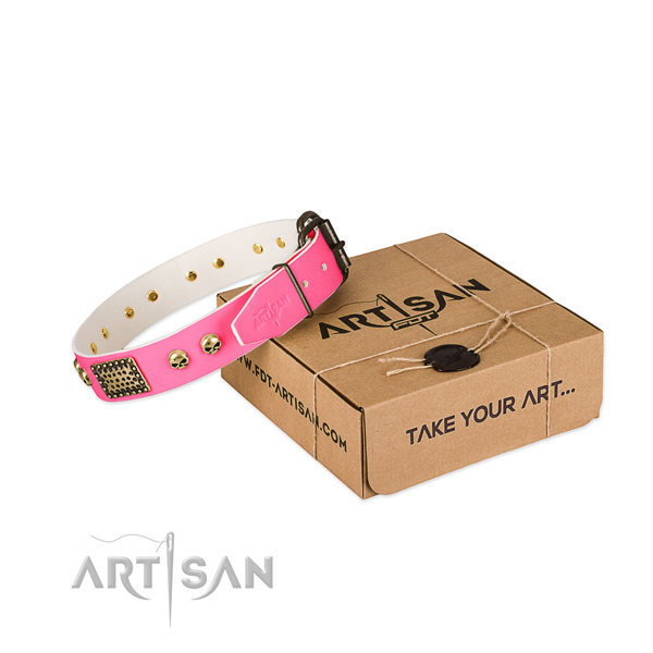 Reliable decorations on dog collar for basic training