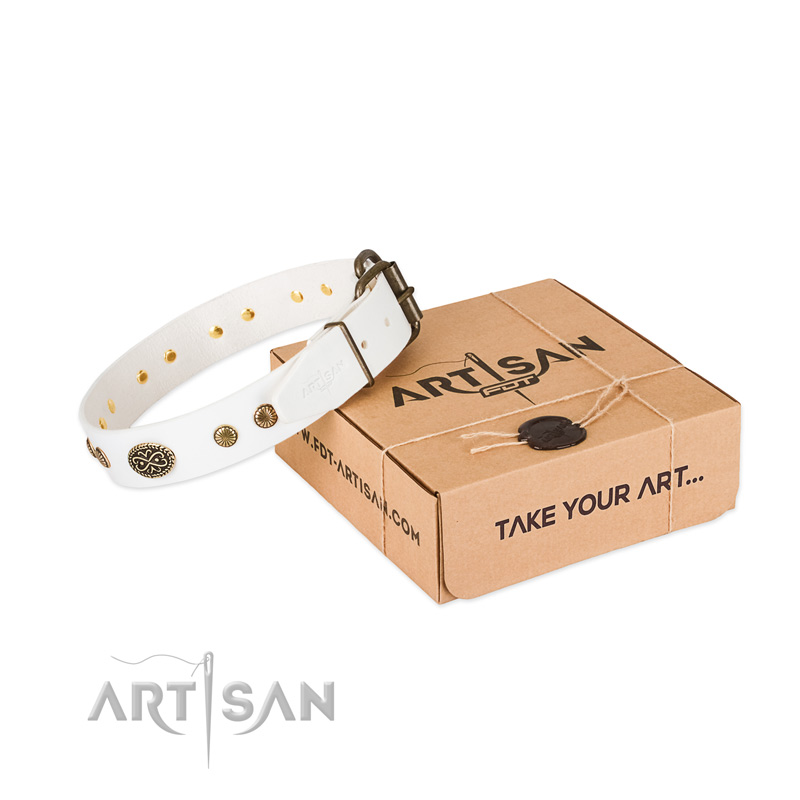 Strong adornments on full grain leather dog collar for your pet