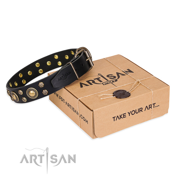 Daily use dog collar of quality natural leather with decorations