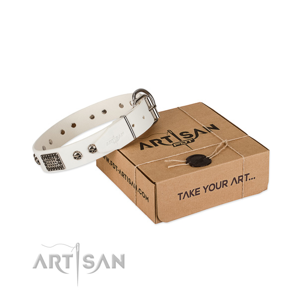 Rust resistant D-ring on dog collar for basic training