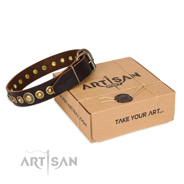 Strong natural genuine leather dog collar handmade for basic training