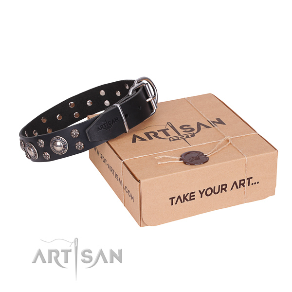 Daily use dog collar of best quality natural leather with embellishments