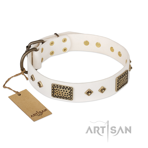 Remarkable genuine leather dog collar for stylish walking