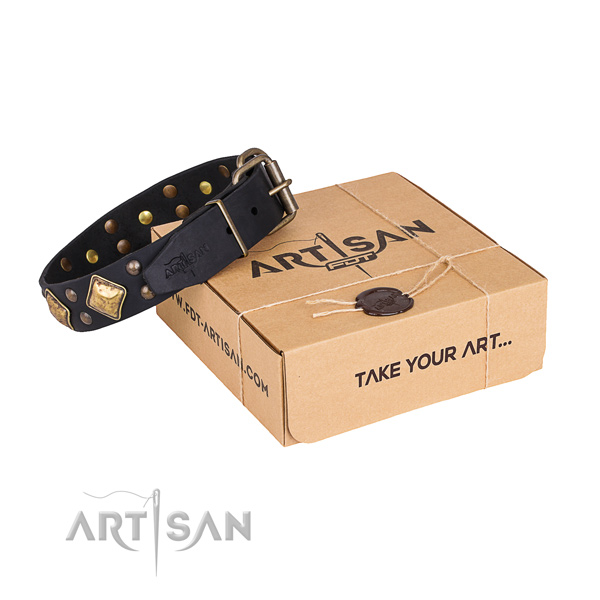 Basic training dog collar with Exceptional durable embellishments