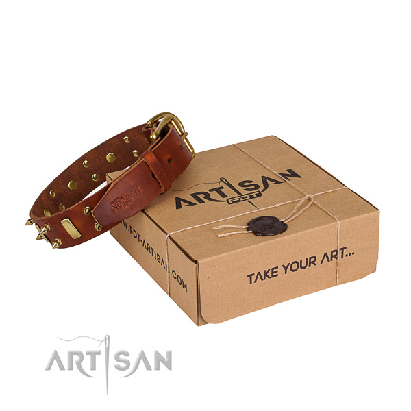 Daily use dog collar of strong full grain leather with decorations