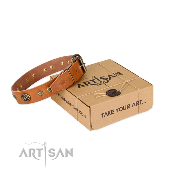 Corrosion resistant studs on full grain leather dog collar for your doggie