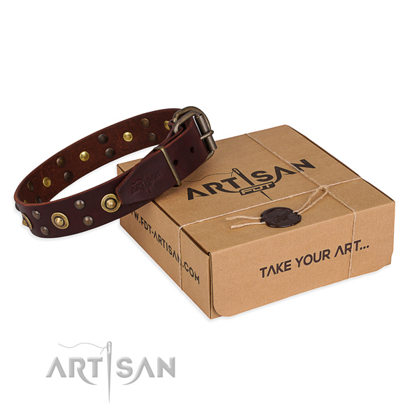 Durable traditional buckle on genuine leather collar for your lovely four-legged friend