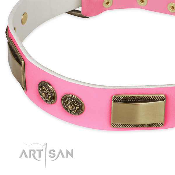 Natural genuine leather dog collar with embellishments for everyday use