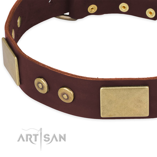 Natural genuine leather dog collar with embellishments for everyday use