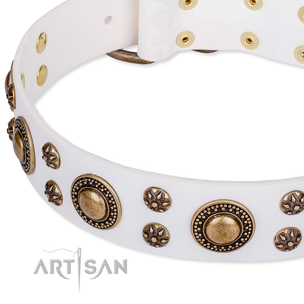 Easy wearing studded dog collar of quality genuine leather