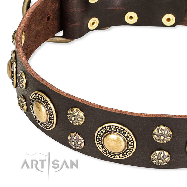 Stylish walking decorated dog collar of durable full grain natural leather
