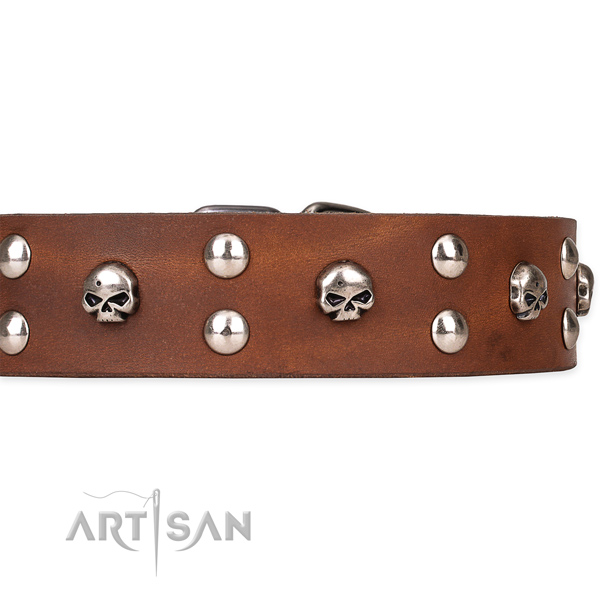 Basic training studded dog collar of fine quality genuine leather