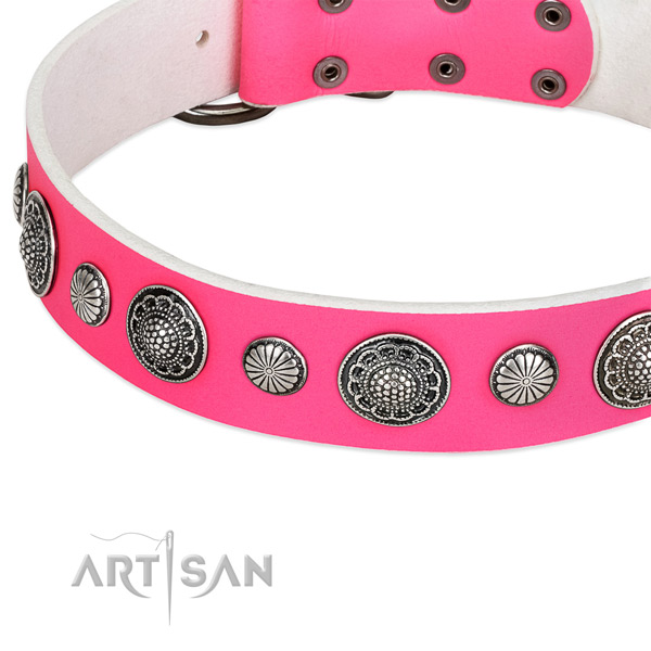 Full grain natural leather collar with corrosion proof D-ring for your lovely canine