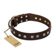 "Bronze Sheen" FDT Artisan Leather Amstaff Collar with Brass-Plated Studs "Bronze Sheen" FDT Artisan Leather Amstaff Collar with Brass-Plated Studs