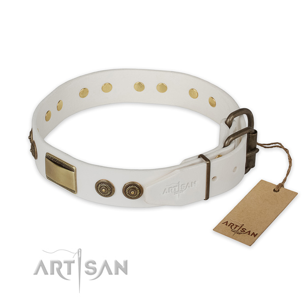 Corrosion resistant fittings on full grain genuine leather collar for stylish walking your dog