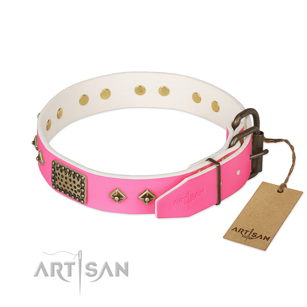 Corrosion resistant studs on handy use dog collar