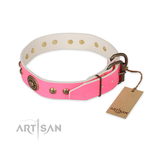 Reliable fittings on genuine leather collar for daily walking your dog
