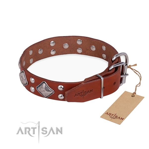 Full grain genuine leather dog collar with exceptional rust resistant embellishments