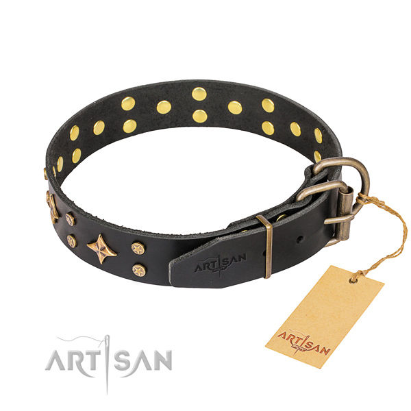 Daily use embellished dog collar of reliable full grain natural leather