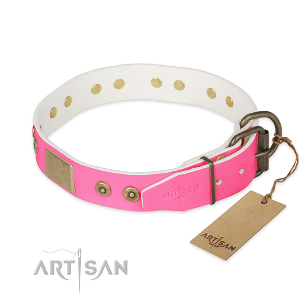 Durable embellishments on everyday use dog collar