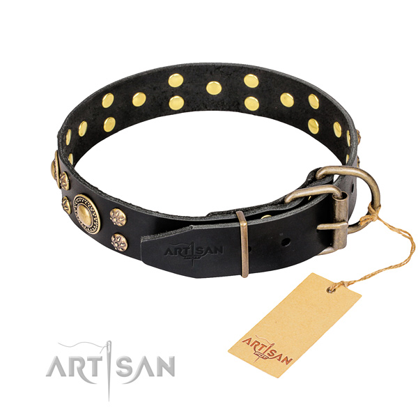 Everyday walking adorned dog collar of finest quality genuine leather