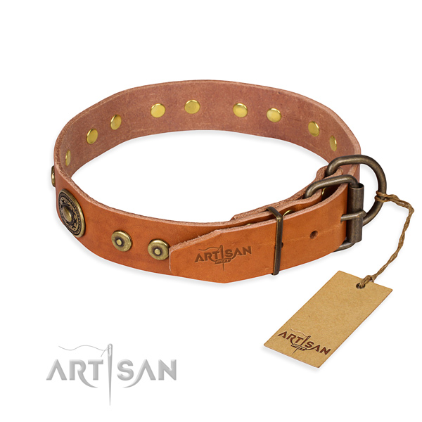 Leather dog collar made of best quality material with rust-proof adornments