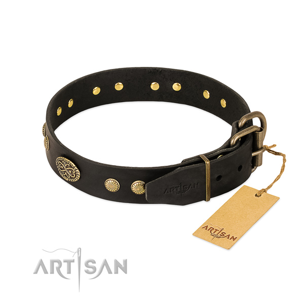 Strong embellishments on full grain natural leather dog collar for your dog