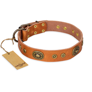 "Dandy Pet" FDT Artisan Handcrafted Tan Leather Amstaff Collar "Dandy Pet" FDT Artisan Handcrafted Tan Leather Amstaff Collar