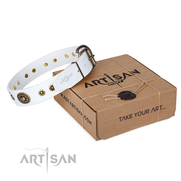 Full grain leather dog collar made of gentle to touch material with strong traditional buckle