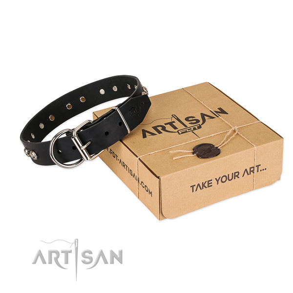 Corrosion proof decorations on dog collar for basic training