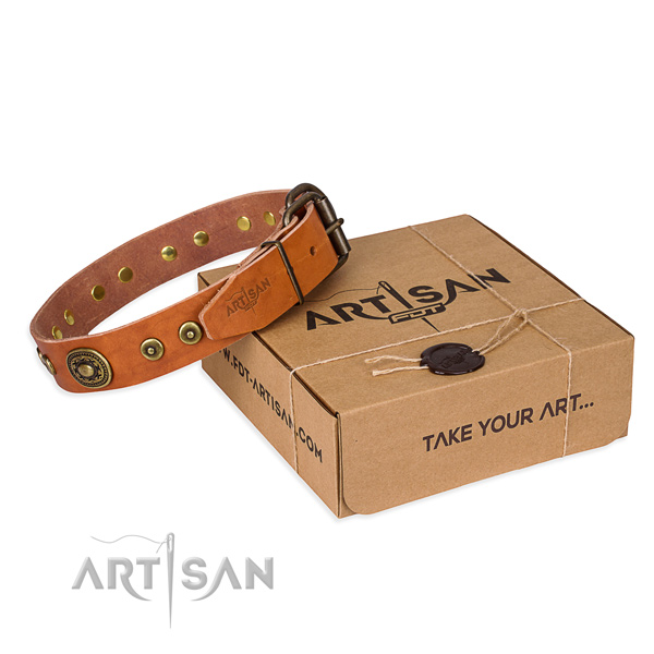 Full grain natural leather dog collar made of quality material with rust-proof hardware