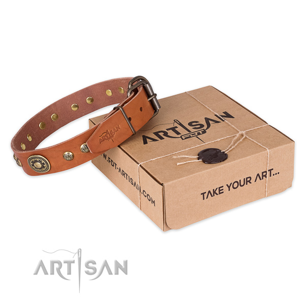 Corrosion resistant hardware on full grain leather dog collar for daily use